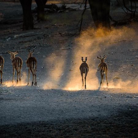 Gabus Safari Lodge Otavi Exteriér fotografie