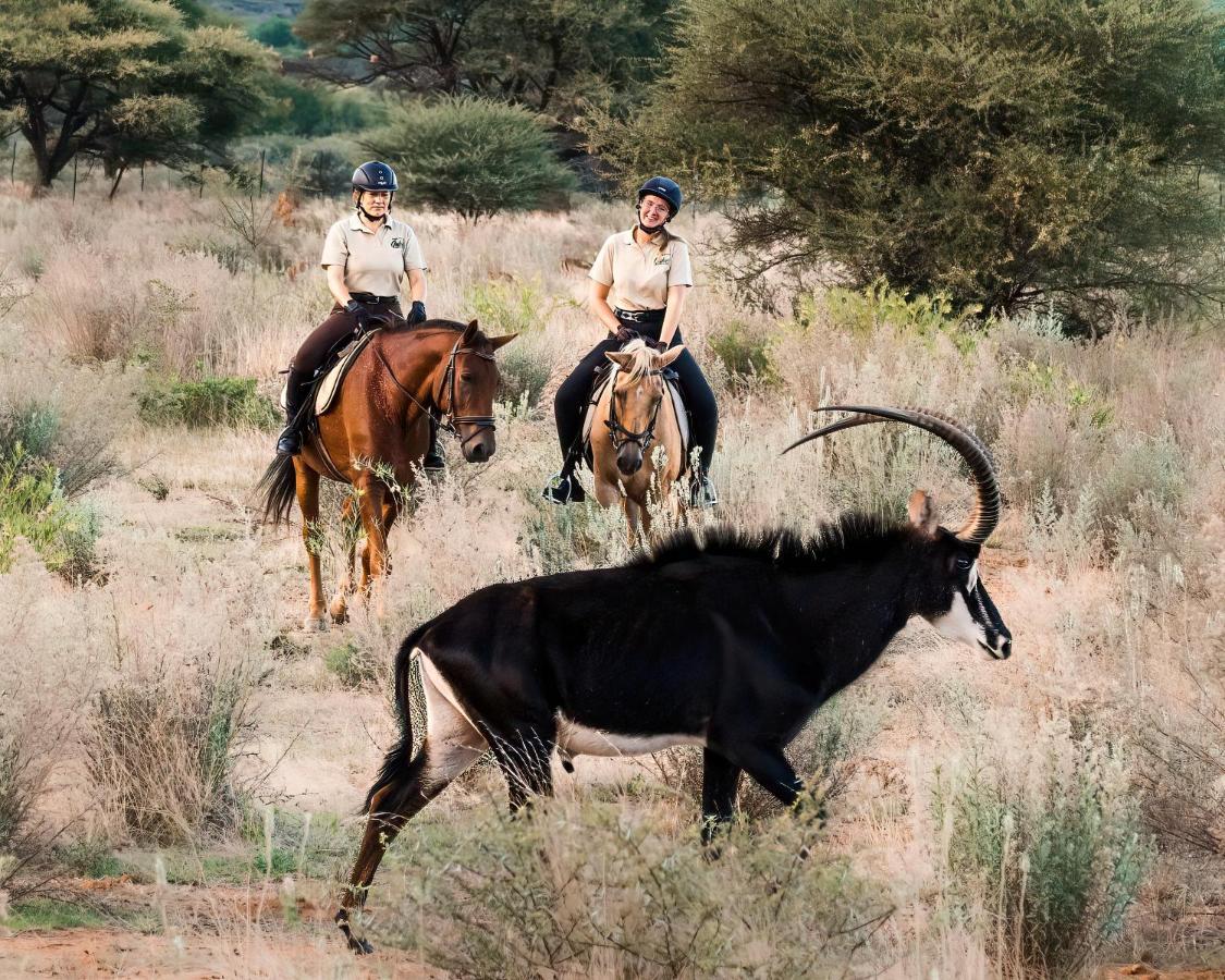 Gabus Safari Lodge Otavi Exteriér fotografie
