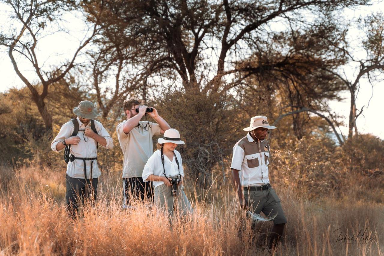 Gabus Safari Lodge Otavi Exteriér fotografie