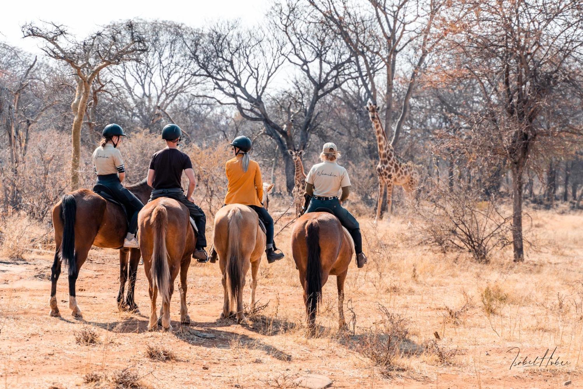 Gabus Safari Lodge Otavi Exteriér fotografie